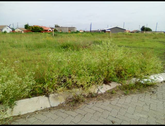311M² VACANT LAND FOR SALE IN BOITEKONG